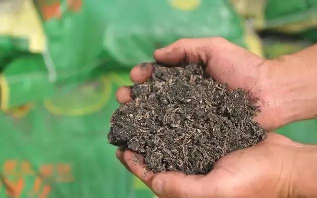 有机肥使用方法与作用